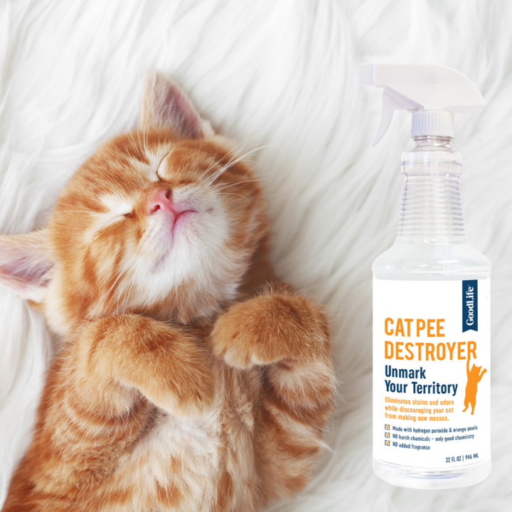 Cat urine odor eliminator clearance